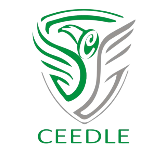 Ceedle Security